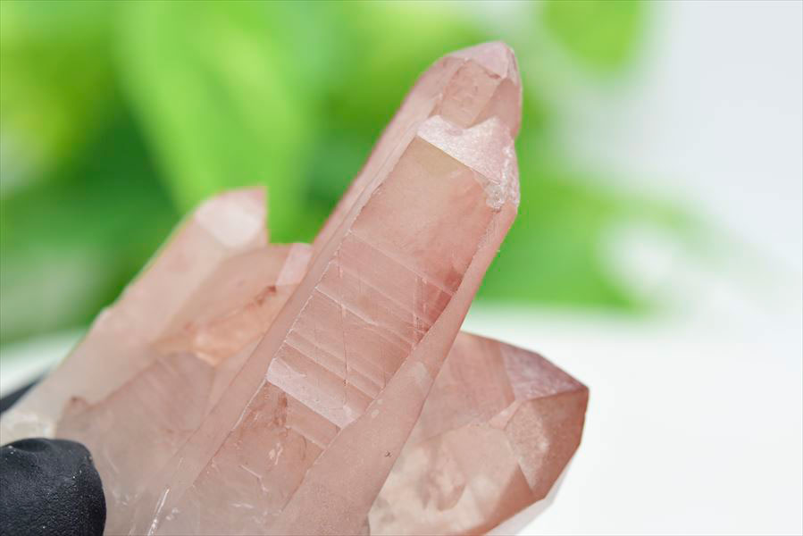 ピンクレムリアン クラスター 原石｜レムリアンシードクリスタル