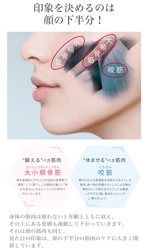 3Dウェアラブル型EMS美顔器『メディリフト』｜MediLiftーメディリフト