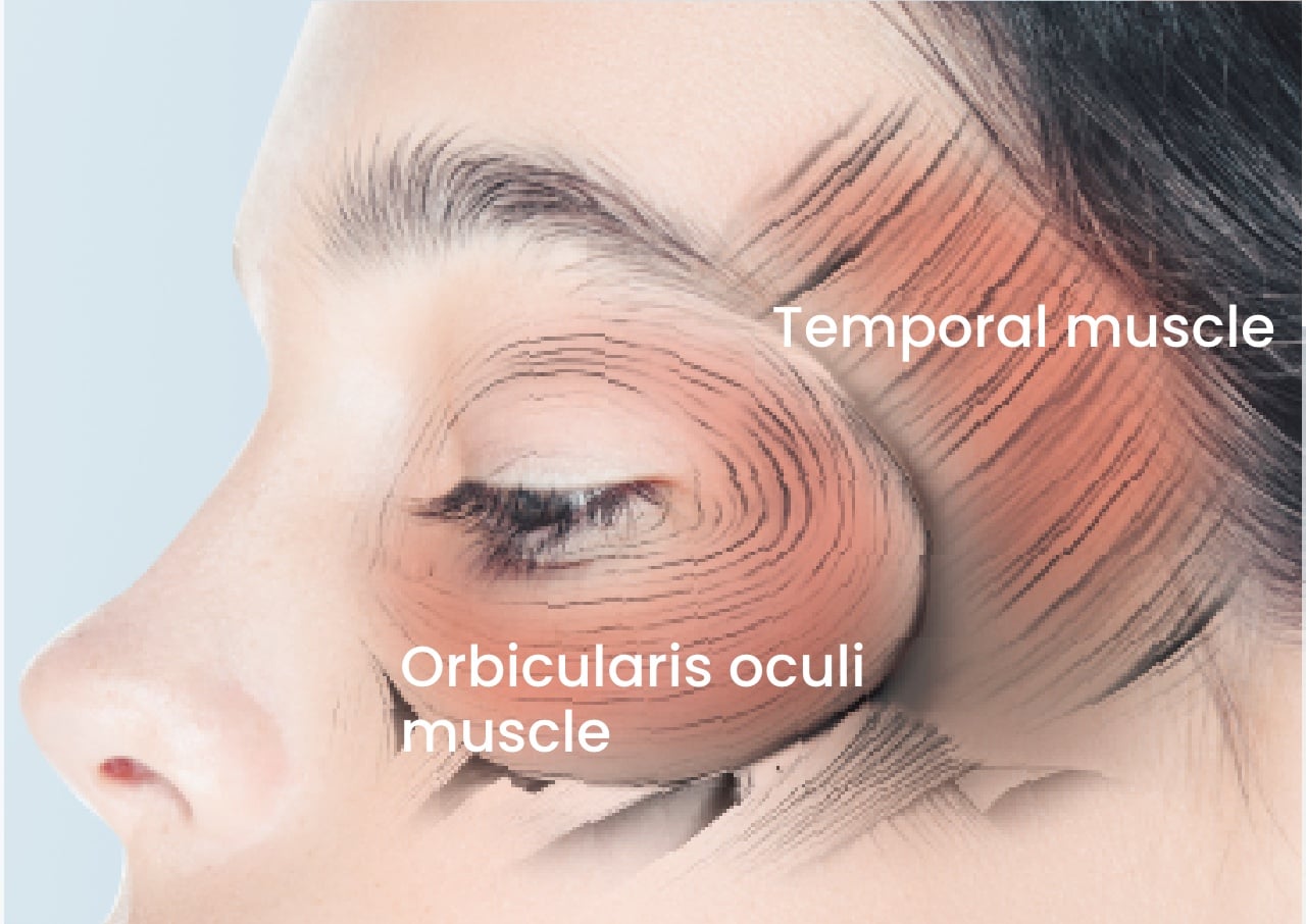 Medi Lift Eye | YA-MAN | Professional technology into home care