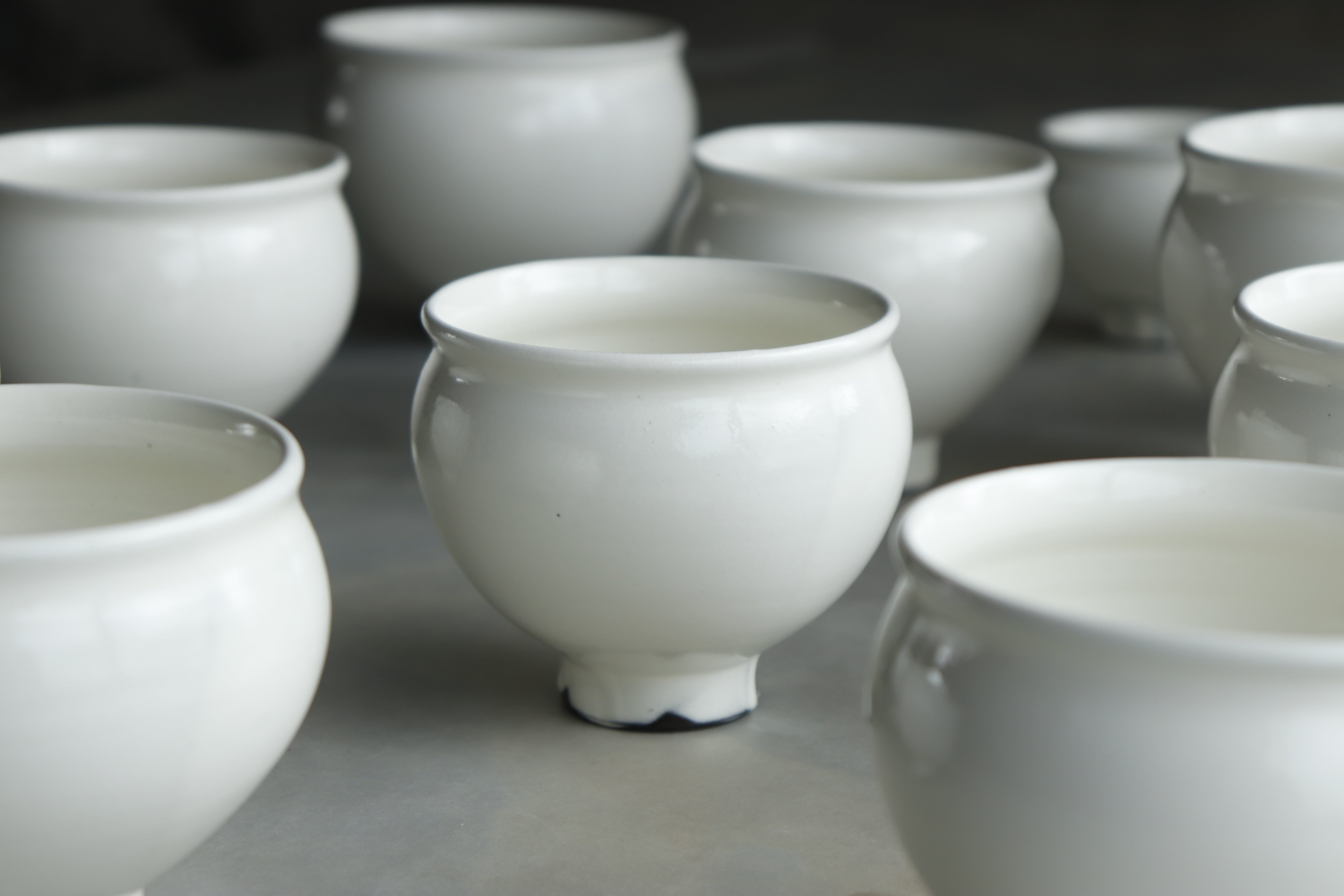 鈴木環】ピジョンカップ(中) - 日本茶専門店YUGEN