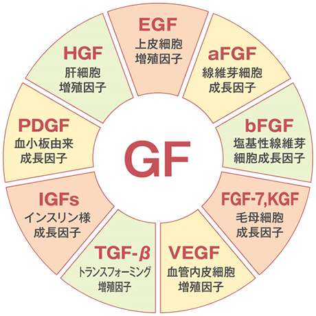 XLUXES ダーマ リジュビネイター パウチ｜スキンケア・メイク化粧品の