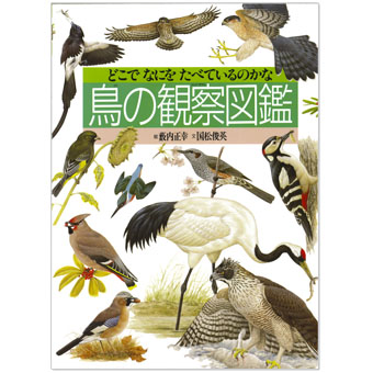 薮内正幸美術館ミュージアムショップ | 鳥の観察図鑑