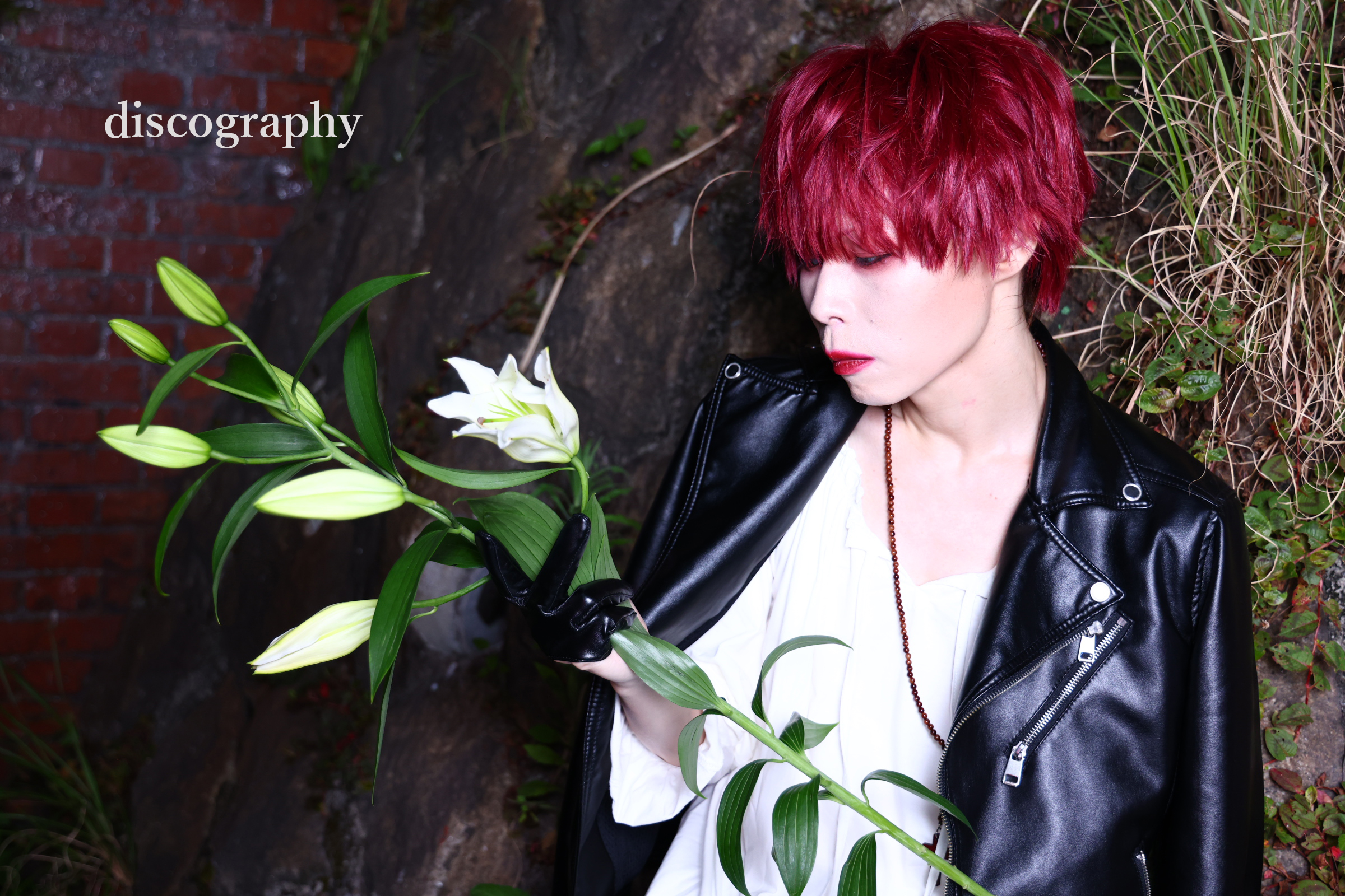 discography - 夜 -yoru- official