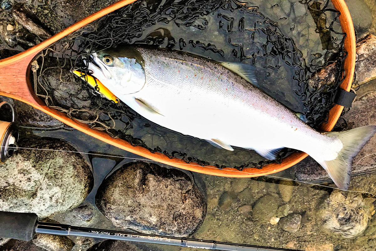 PLAISIR ANSWER - ZENAQ | Official-Web