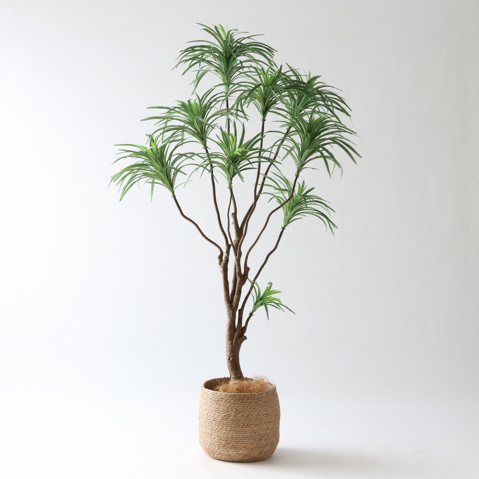 No8437 プレミアム光触媒フェイクグリーン 「斑入りの葉が揺れる