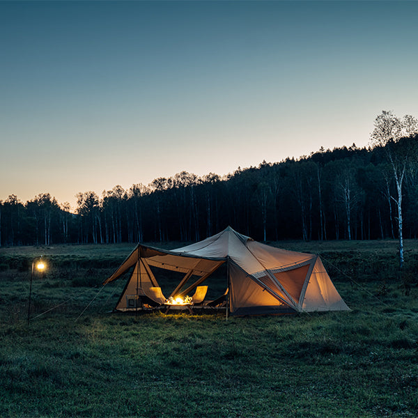 サバティカル スカイパイロット Synthetic plus – aandfonlinestore