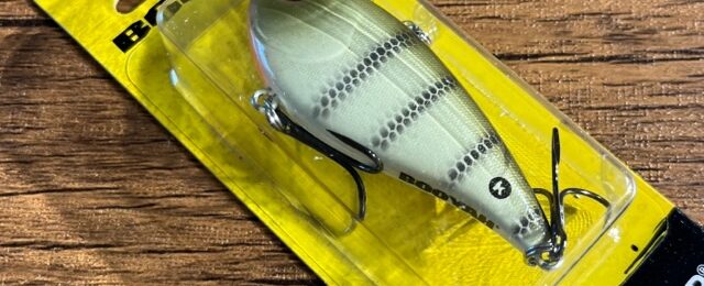 10月 | 2023 | American Bass Shop(アメリカンバスショップ) 最新