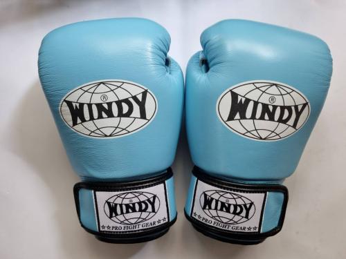 WINDY ウィンディ キック ボクシンググローブ 水色 Light blueの個人