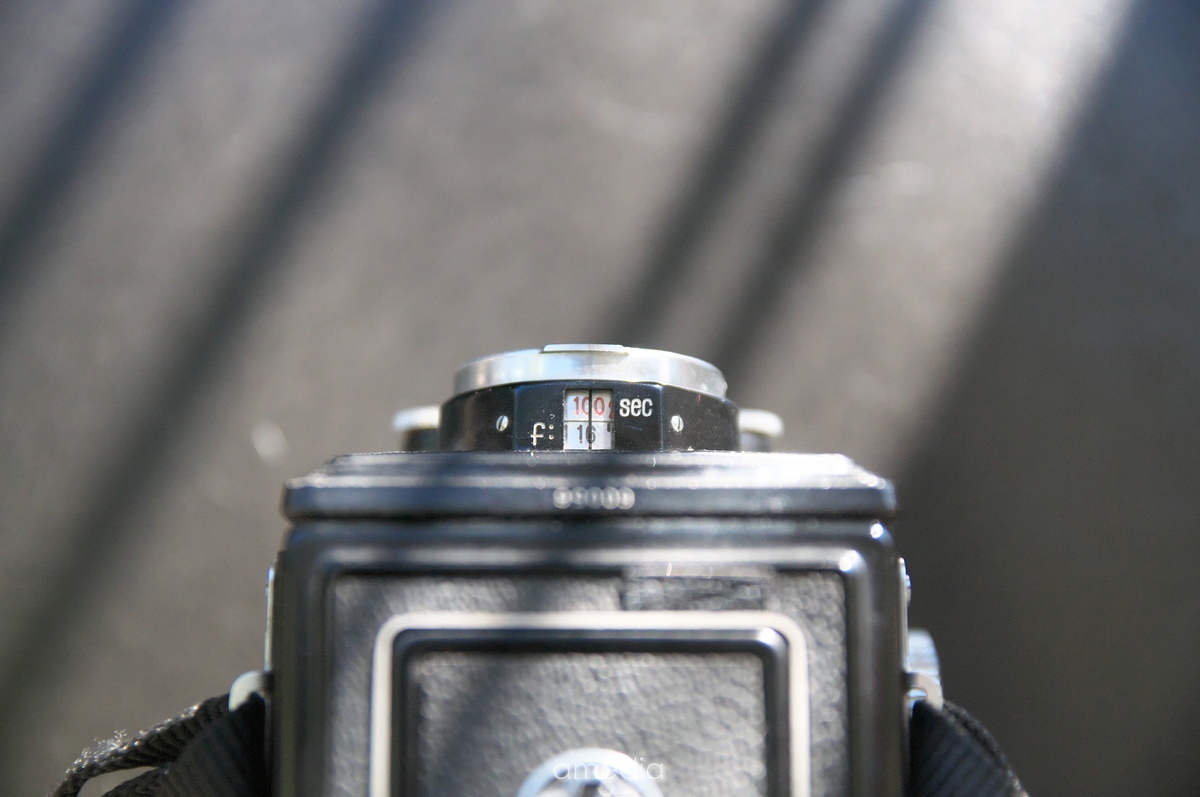 作例あり]YahshicaFlexNewBをレビュー|実用的に不足なしで非常に使い