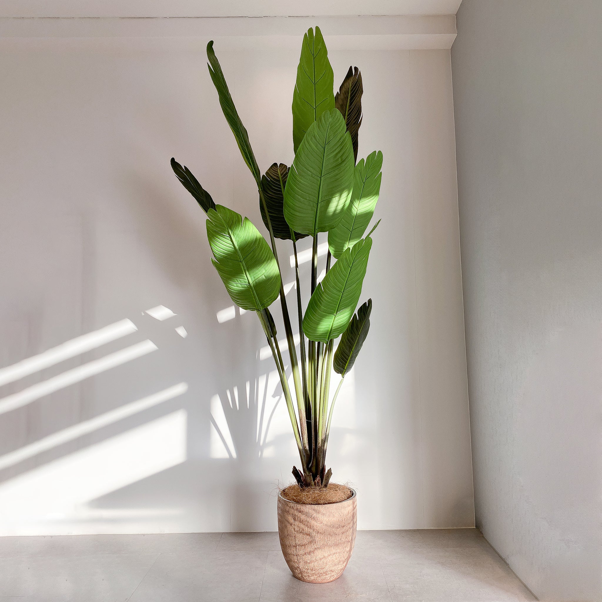 オーガスタ 180cm - フェイクグリーン専用通販サイト – フェイク