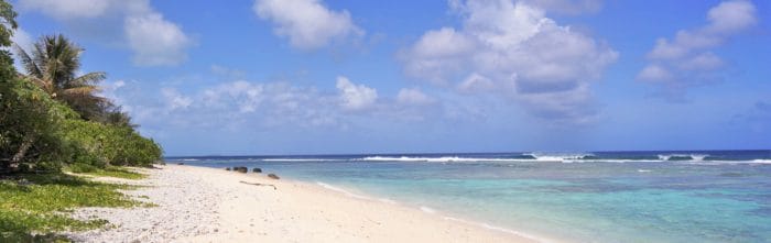 カリフォルニア司法試験の勉強時間を効率化！合格者によるおすすめテキスト