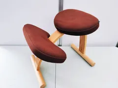 2026年最新】バランスチェア サカモトハウスの人気アイテム - メルカリ