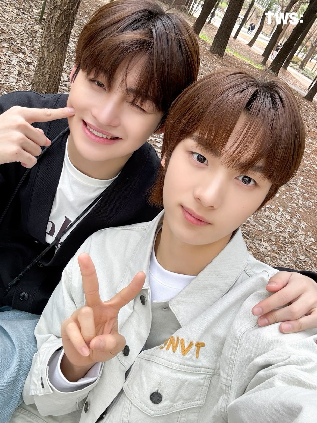 TWS好きケミ調査アンケート結果発表！｜ɪɴᴜ.