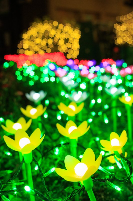 Industar 61 L/Z-MC 50mm F2.8 の星ボケ作例付きレビュー｜山口県の