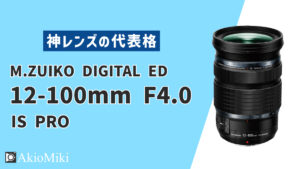 12-100mm-f4-thumbnail-300x169.jpeg