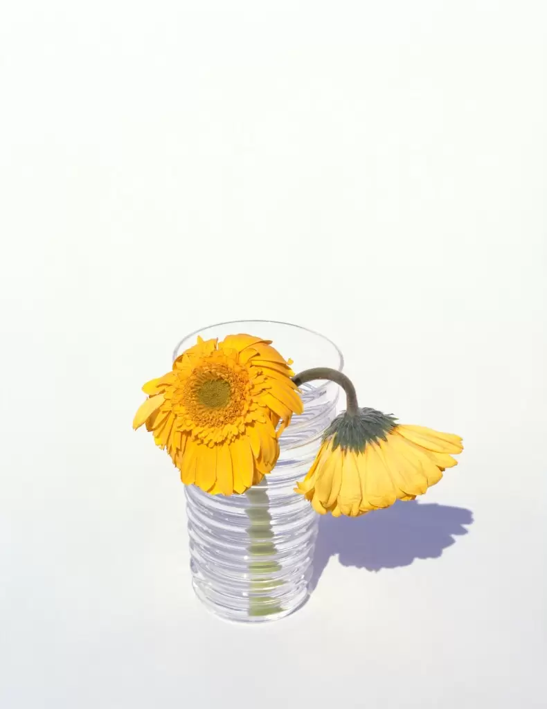 Yoshihiko Ueda “FLOWERS” | ArtSticker