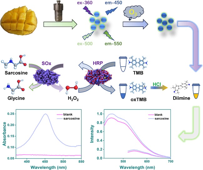 Facile synthesis and ozonation of carbon dots using mango pulps
