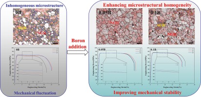 Enhanced microstructural homogeneity and strength-ductility