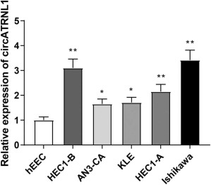 CircATRNL1 increases acid-sensing ion channel 1 to advance