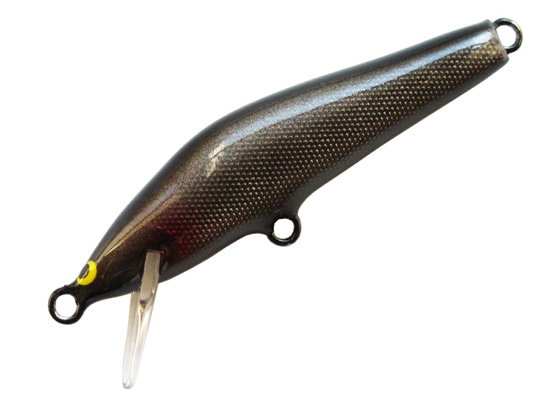 SAURUS | ザウルス