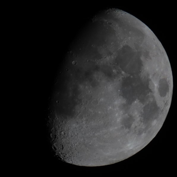 カワセミ静止画、羽毛がべたっとしてしてる』 オリンパス M.ZUIKO