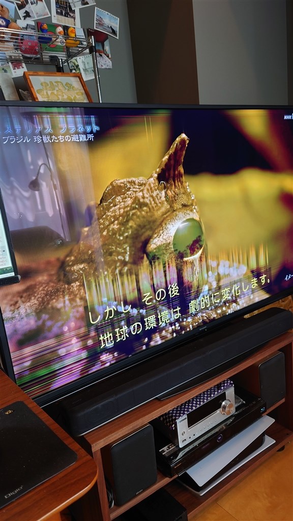 画面に横線 無償交換』 シャープ AQUOS 4K 4T-C55CN1 [55インチ] の