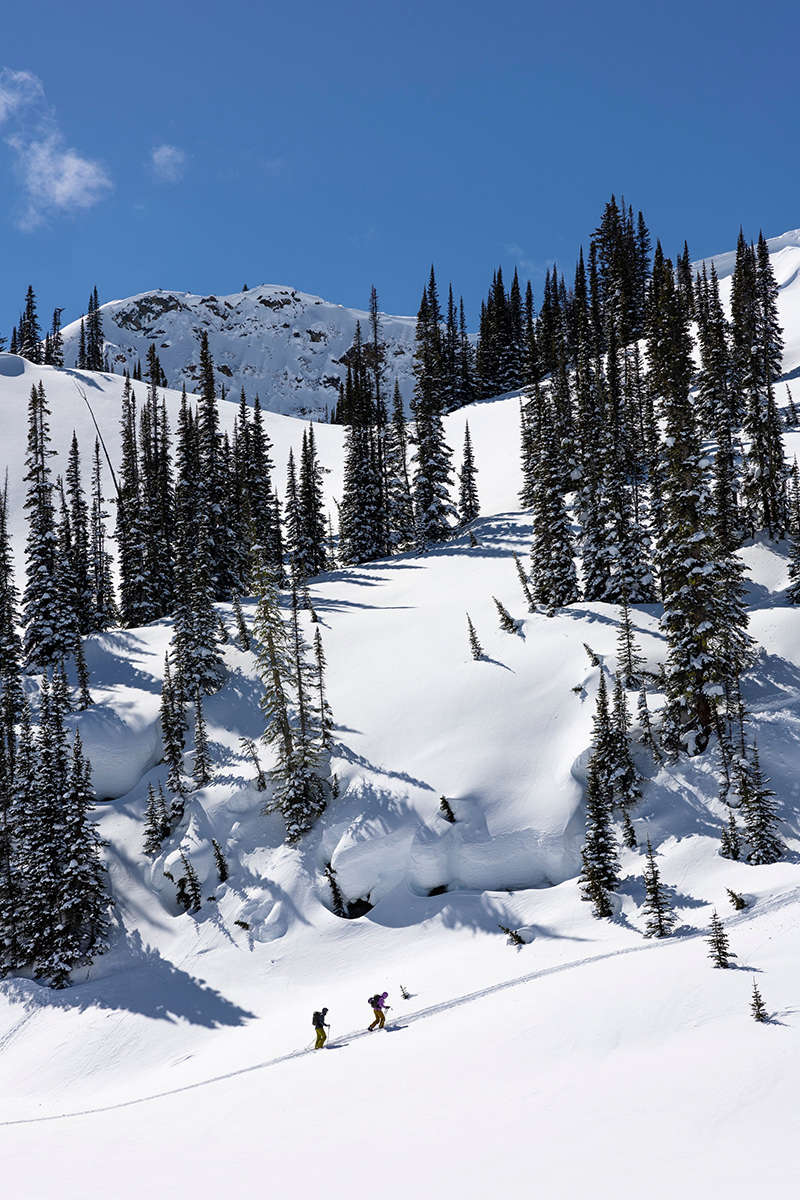 HOJI 184cm 23-24model | BD FreeSki Shop