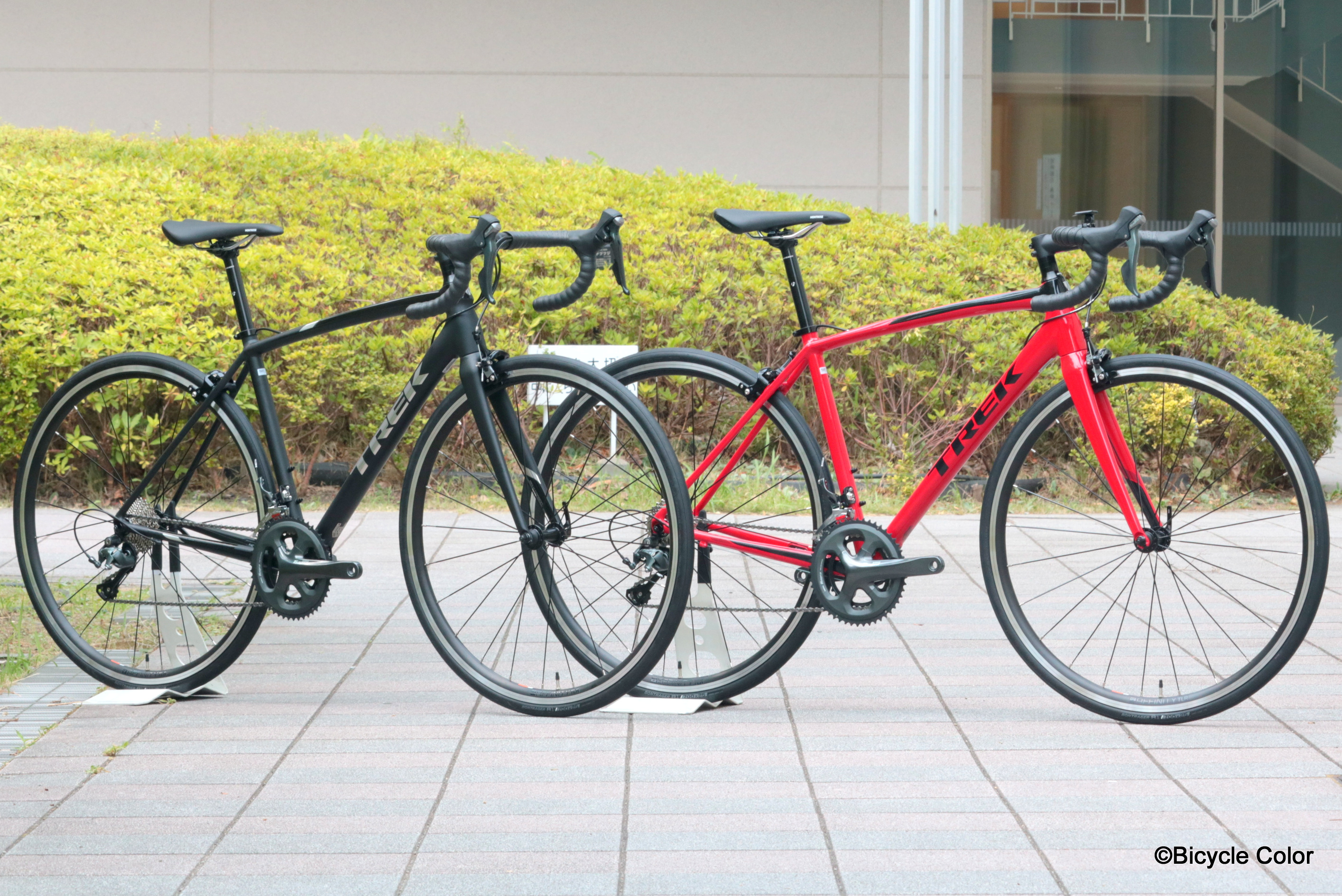 TREK(トレック)最新2019年モデル！新フレームで魅力満載のロードバイク