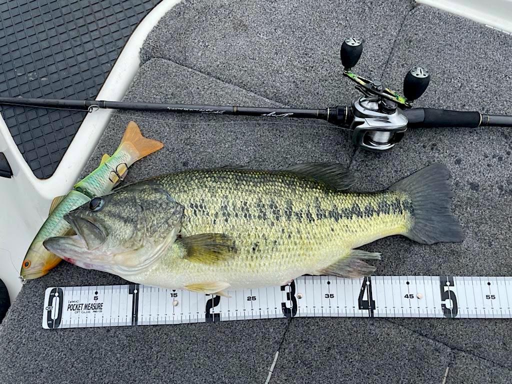 メジャークラフト／デイズ DYC-70Xをインプレ | 琵琶湖バスライフ