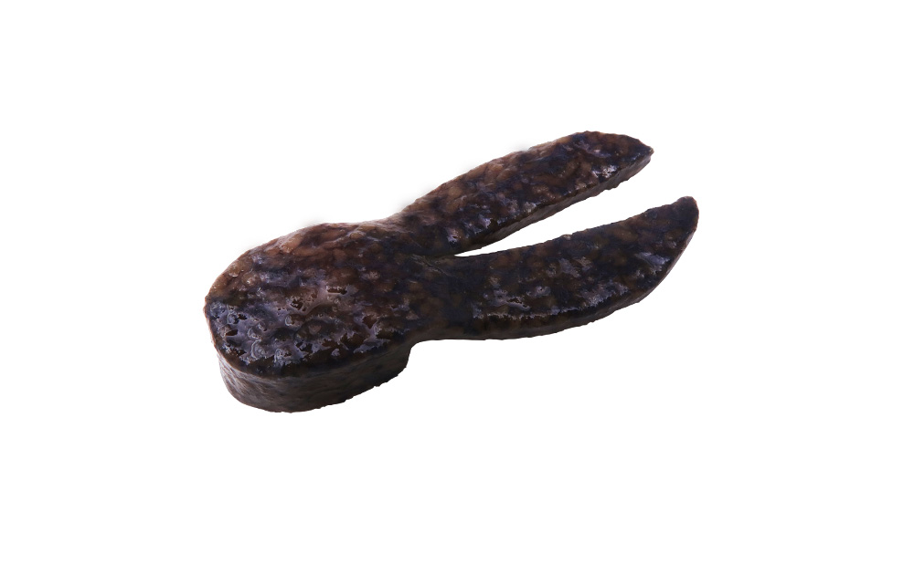 12/21(日)12：00より【ボトムアップオフィシャルオンラインストア】に