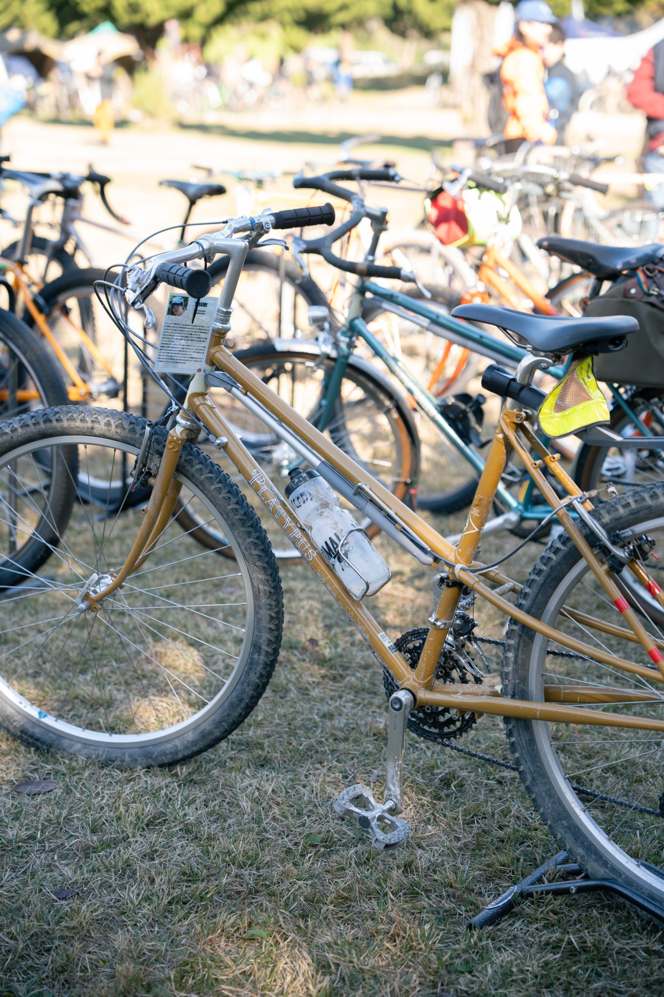 俺の秋ヶ瀬バイクロア＆Evasionデモバイク - BLUE LUG BLOG | 自転車店