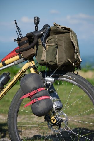 SINEWAVE CYCLES* beacon 2 (green) - BLUE LUG ONLINE STORE