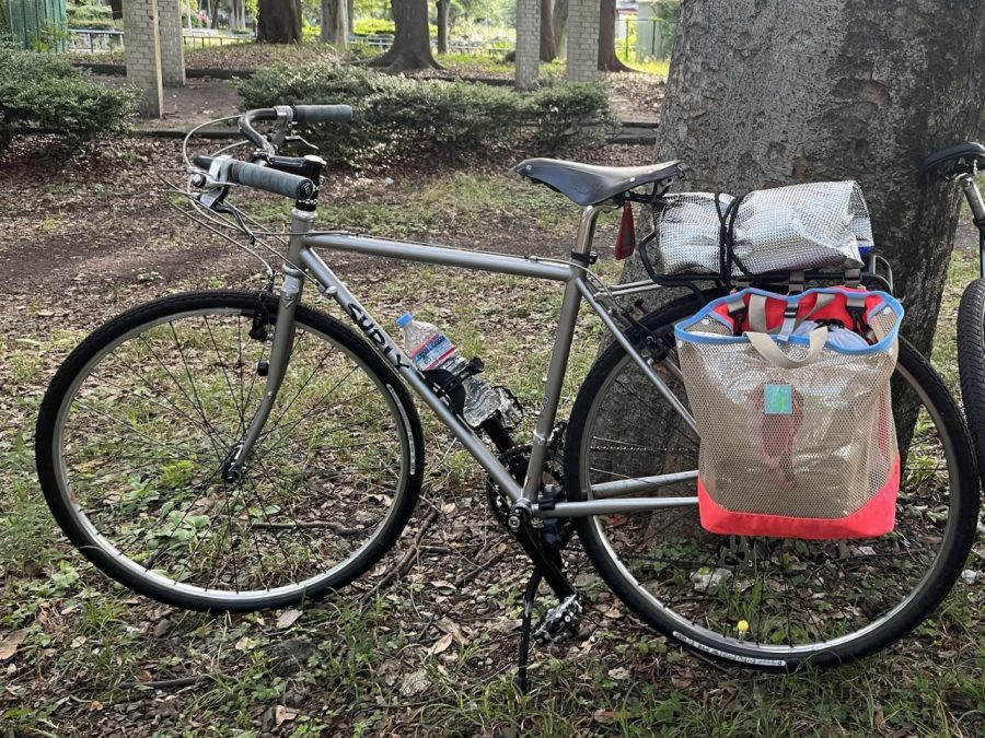 SURLY* nice rack rear (black) - BLUE LUG ONLINE STORE