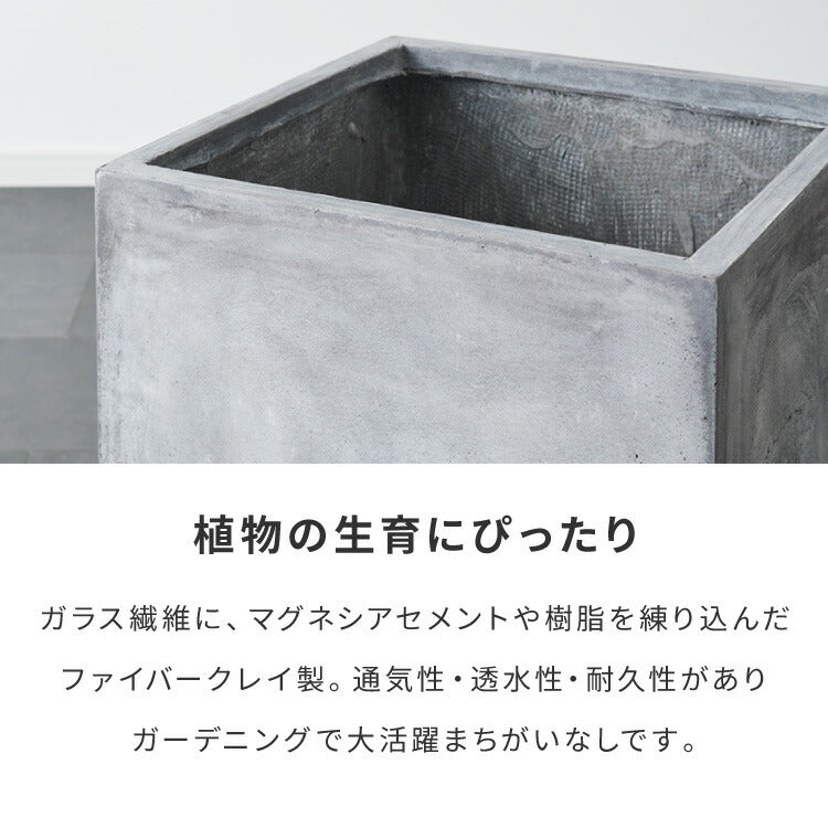 プランター 大型 50×50cm スクエア コンクリート おしゃれ モダン