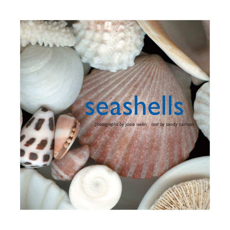 Seashells - Coastal Coffee Table Book – Cailini Coastal