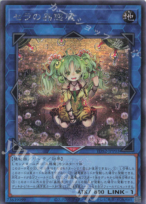 SE セラの蟲惑魔 販売 | [TDS2] STRUCTURE DECK 蟲惑魔の森 -決闘者