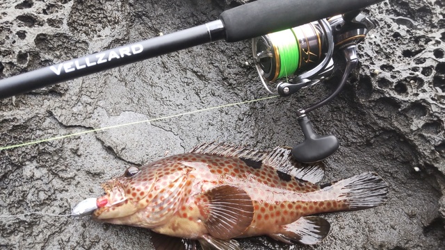 Zeake ジーク ショアジグロッド ヴェルザード VSLSJ99: 竿｜釣具の通販