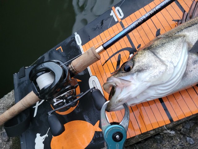 シマノ 23ワールドシャウラリミテッド 1652R-3 (ベイト 3ピース)※店舗