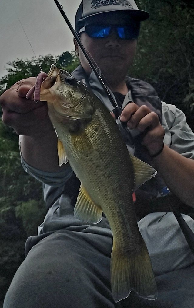 ダイワ ブレイゾン C64L-2・BF 2021モデル (ベイト2ピース)【即日発送