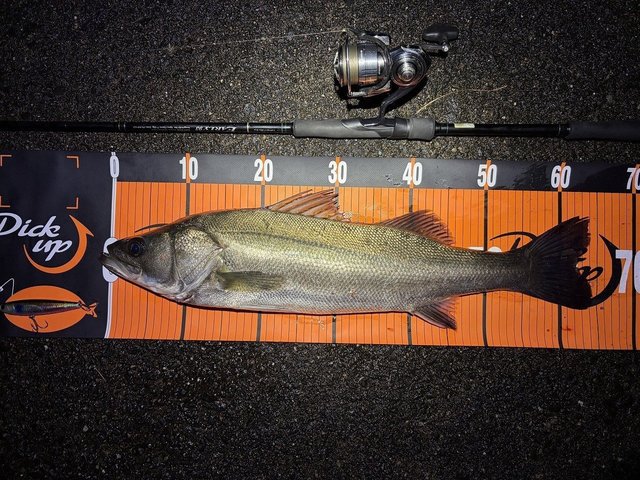 ヤマガブランクス アーリー 93M for Seabass ※店頭受け取り/店舗で決済