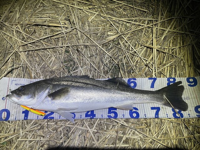 ダイワ ラブラックス AGS 100M・N 2021モデル (スピニング2ピース