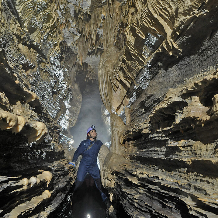 McFails Cave Nature Preserve - National Speleological Society