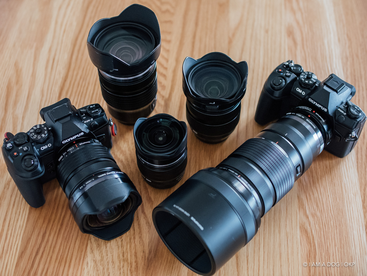 2020年2月から値上げ、オリンパスPROレンズをどう選ぶ？ まだ持って