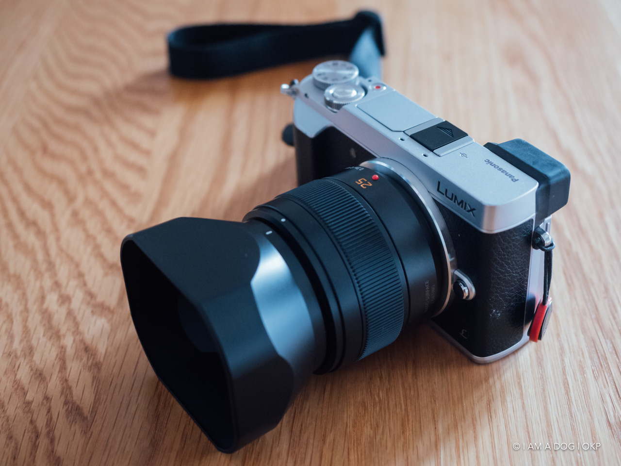 パナソニック LEICA DG SUMMILUX 25mm / F1.4 II ASPH.のファースト