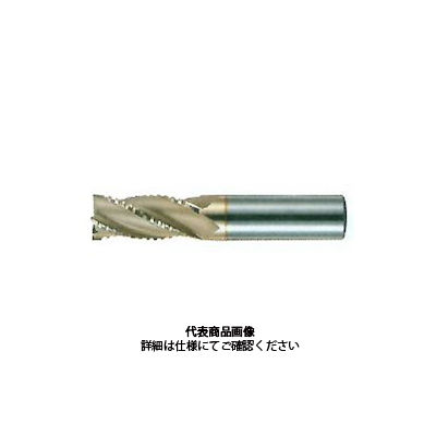 不二越 SGーFAX ヘビーエンドミル SGHV 32X32 ー6NT 1本（直送品