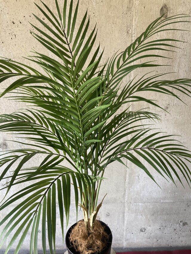 光触媒 人工観葉植物 ウォールグリーン フェイクグリーン アレカヤシ90