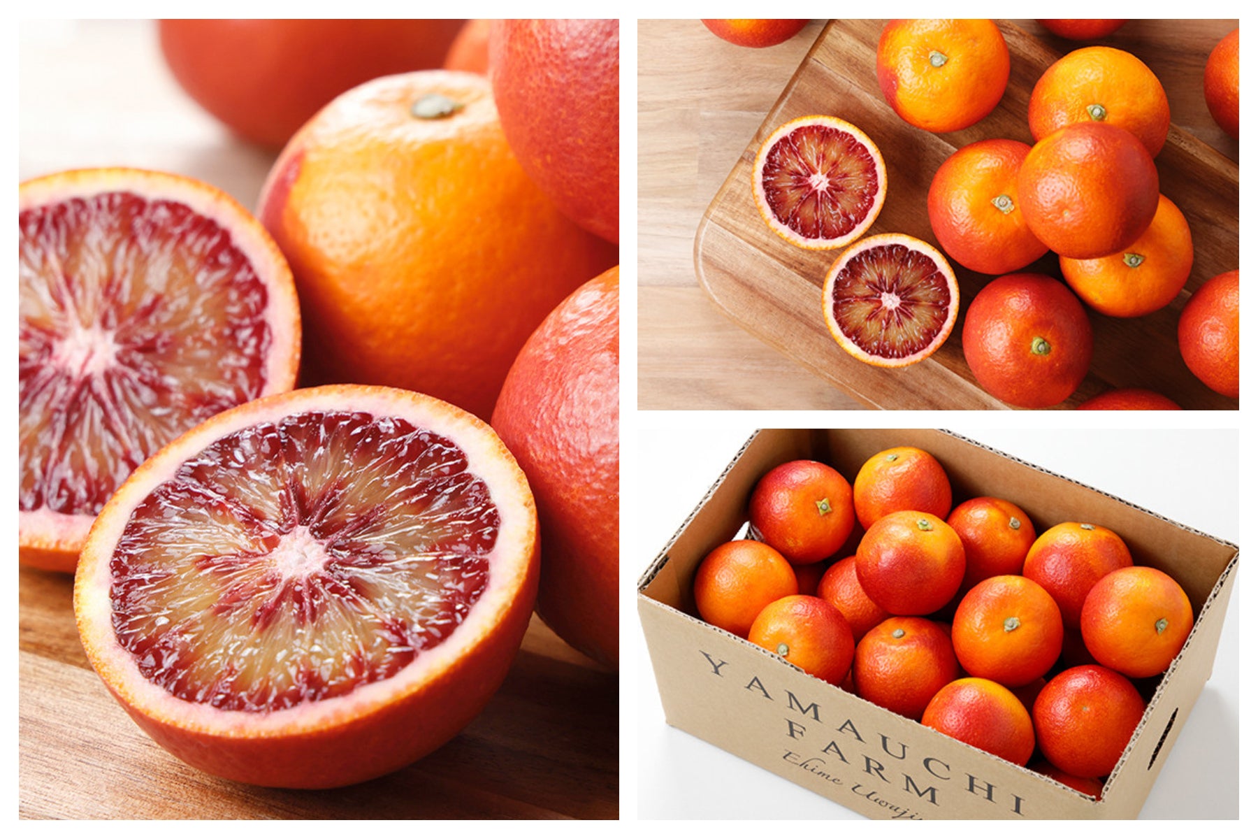 旬のかんきつ ブラッドオレンジ・モロ【2.5㎏】〈山内ファーム