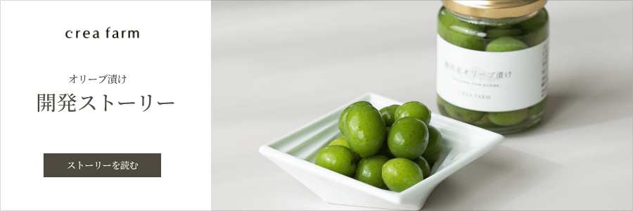 ハヤシクラフト オリカラ 限定 シーク40.30 2本セット ハヤシクラフト