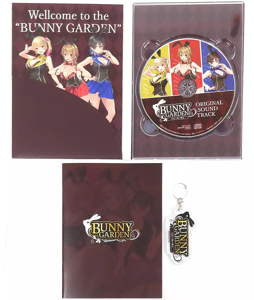 【新品】Switch バニーガーデン 入店セット【日本国内正規品】 ゲーム: バニーガーデン 入店セット ファミ通DXパック(花奈VIPルーム