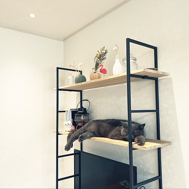 ウッドワン カベツケのインテリア実例 ｜ RoomClip（ルームクリップ）